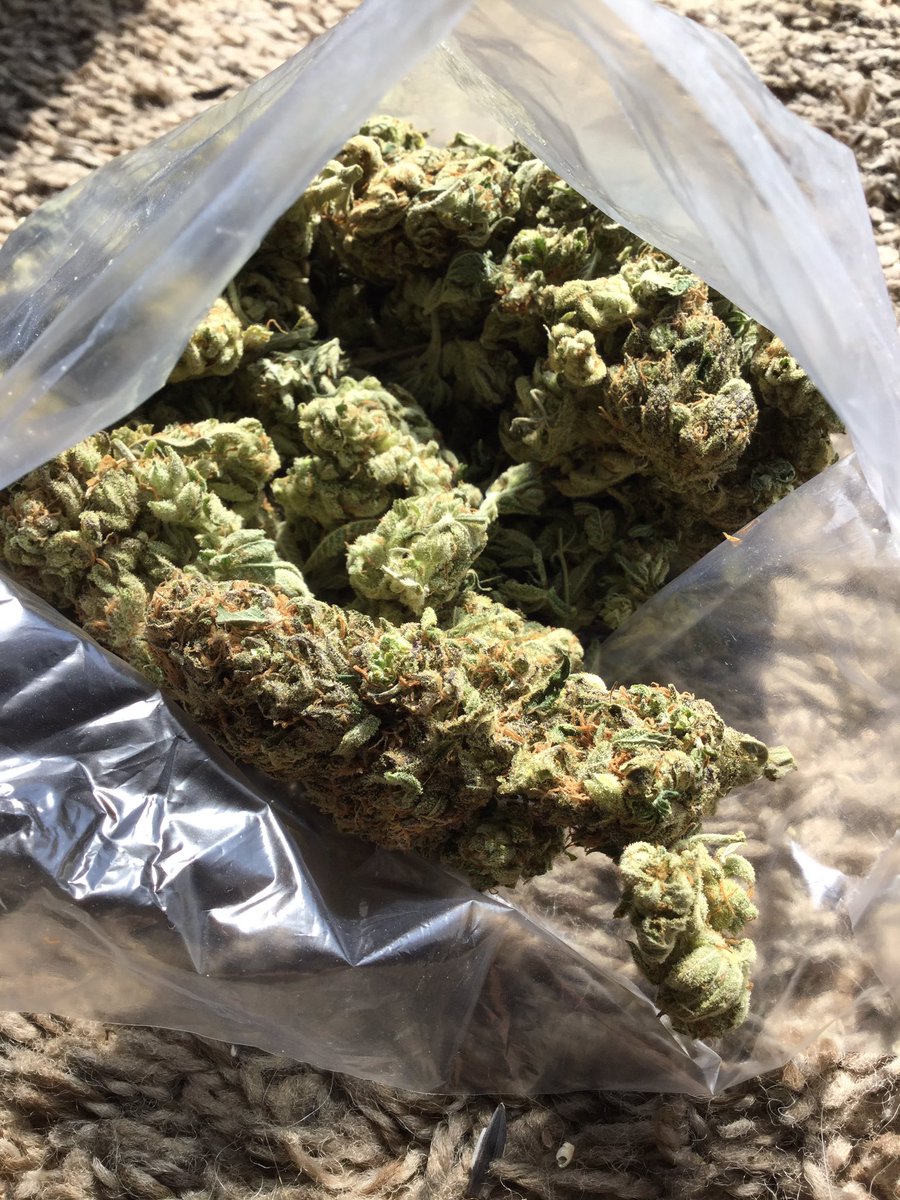 Hippie_of_Love's tweet photo. Wanna get high? https://t.co/EY7yHto0hJ
