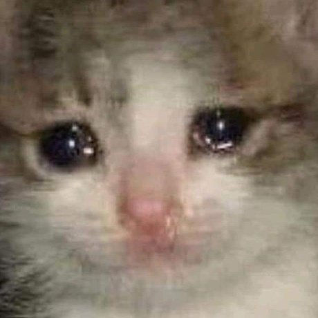 Jeon97Jk2's tweet photo. @Stefani99364608 No lo se y eso me frustra mas☹︎ https://t.co/IZn5fT61l7