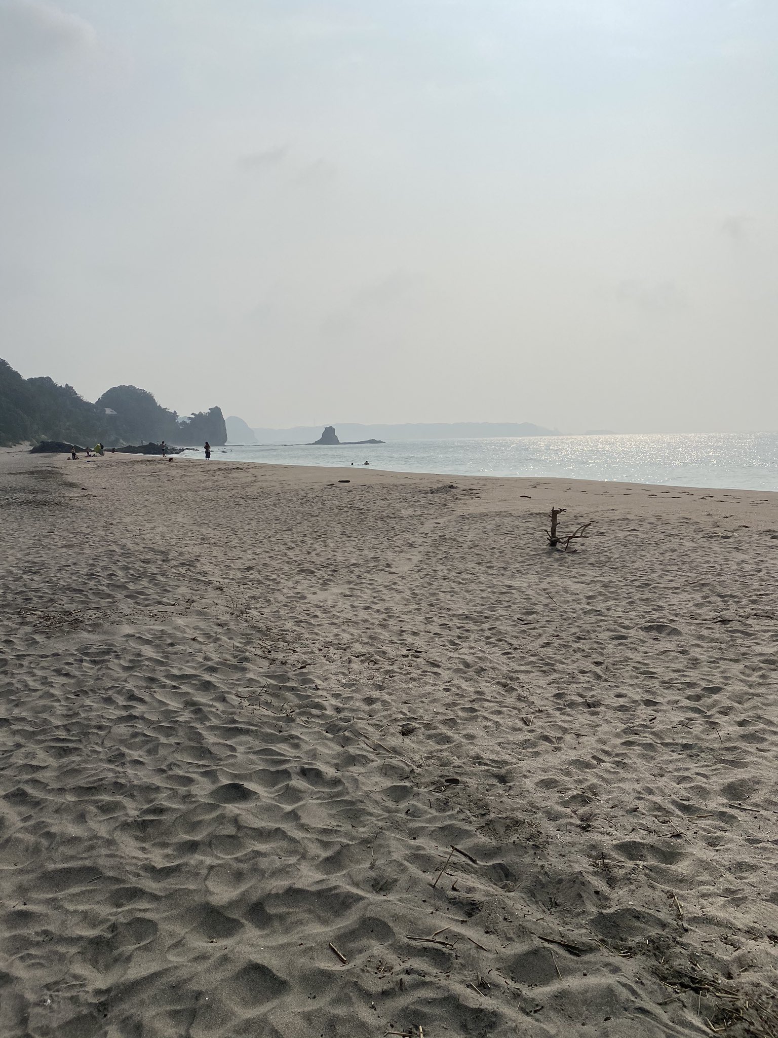 下田海水浴 Twitter Search Twitter
