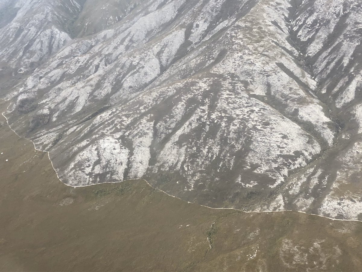 2/11: In 2017 the Tasmanian National Parks Service and DPIPWE implemented proactive ecological burns to see if they could promote food growth for parrots