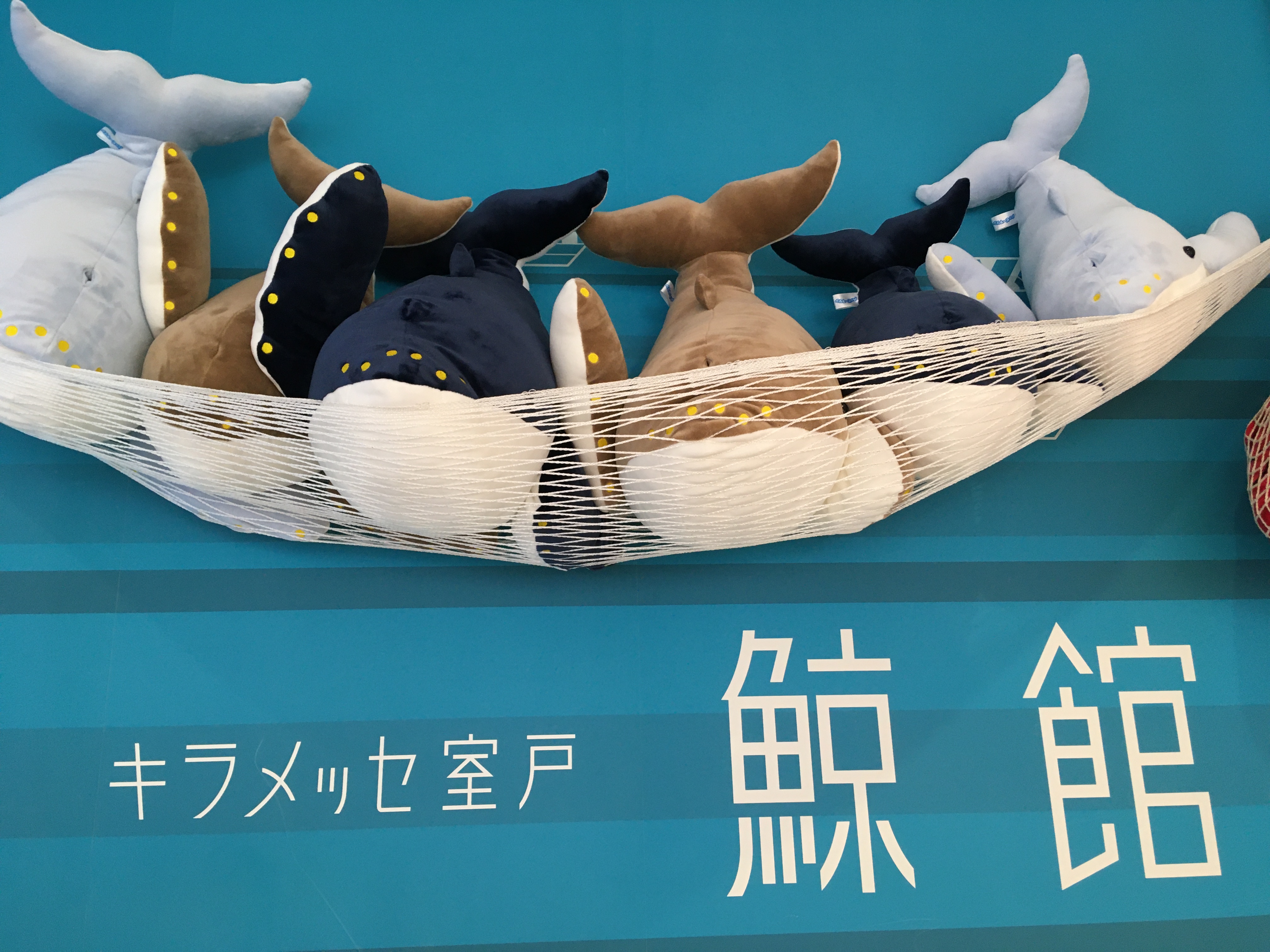 くじらくん 座頭鯨激浪半袖Tシャツ 絡繰魂 222052 和柄 和風 粋 くじら