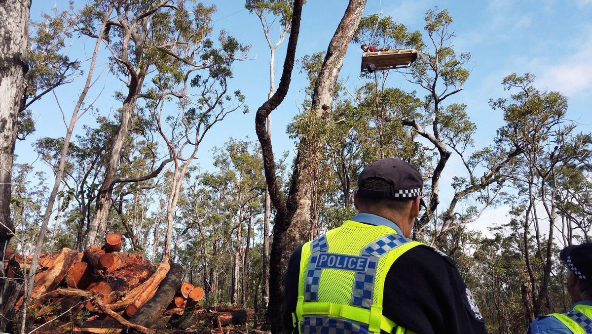 hearyanow's tweet photo. OUR native forests are excellent for storing & drawing down carbon yet we are cutting them down for woodchips, charcoal & pulp. Time to #StoptheChop Rally #MargaretRiver Sat Aug 22, 12noon #forests4climate #climateemergency #auspol #climate #WAforests @waforests https://t.co/LXm0XyiRzg
