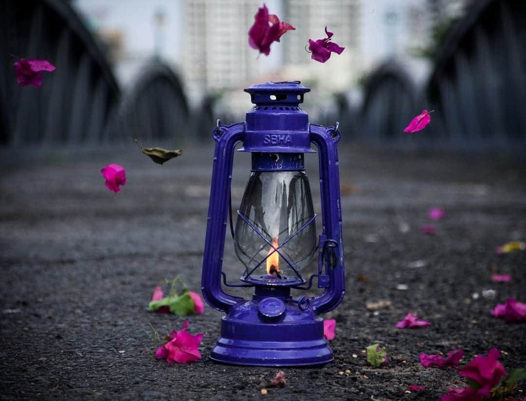 imDevangDP's tweet image. &quot;Calmness in activity....

is #True calmness !&quot;