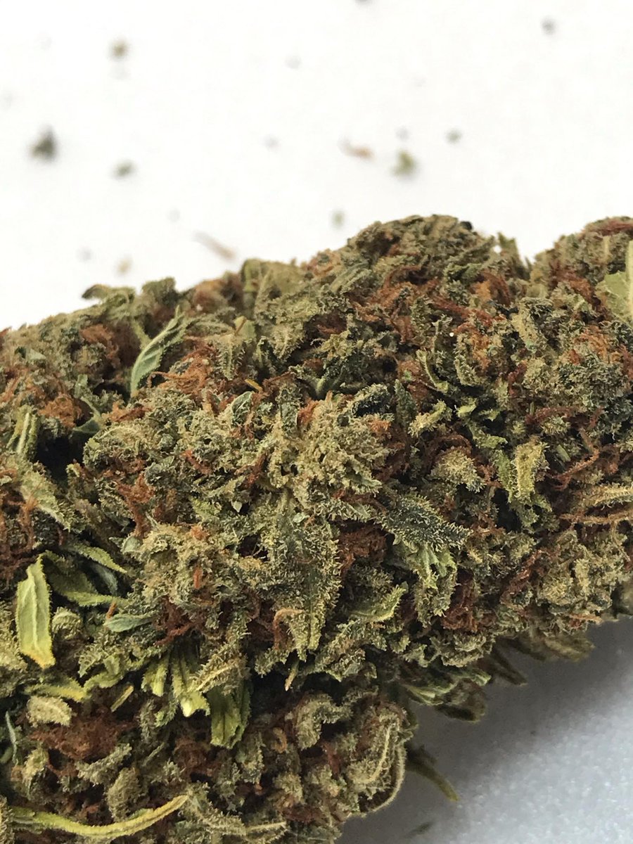 Riocbdrgv1's tweet photo. SPECIAL SAUCE IN NOW!!! 18.2% PREMIUM HEMP FLOWER!!! #CBD #cbdproduct #hempflower #premiumhemp #texascbd #riocbd #specialsauce #medicine #COVID19 #legalcbd #premium #indoor # https://t.co/qhqnmHFLX5