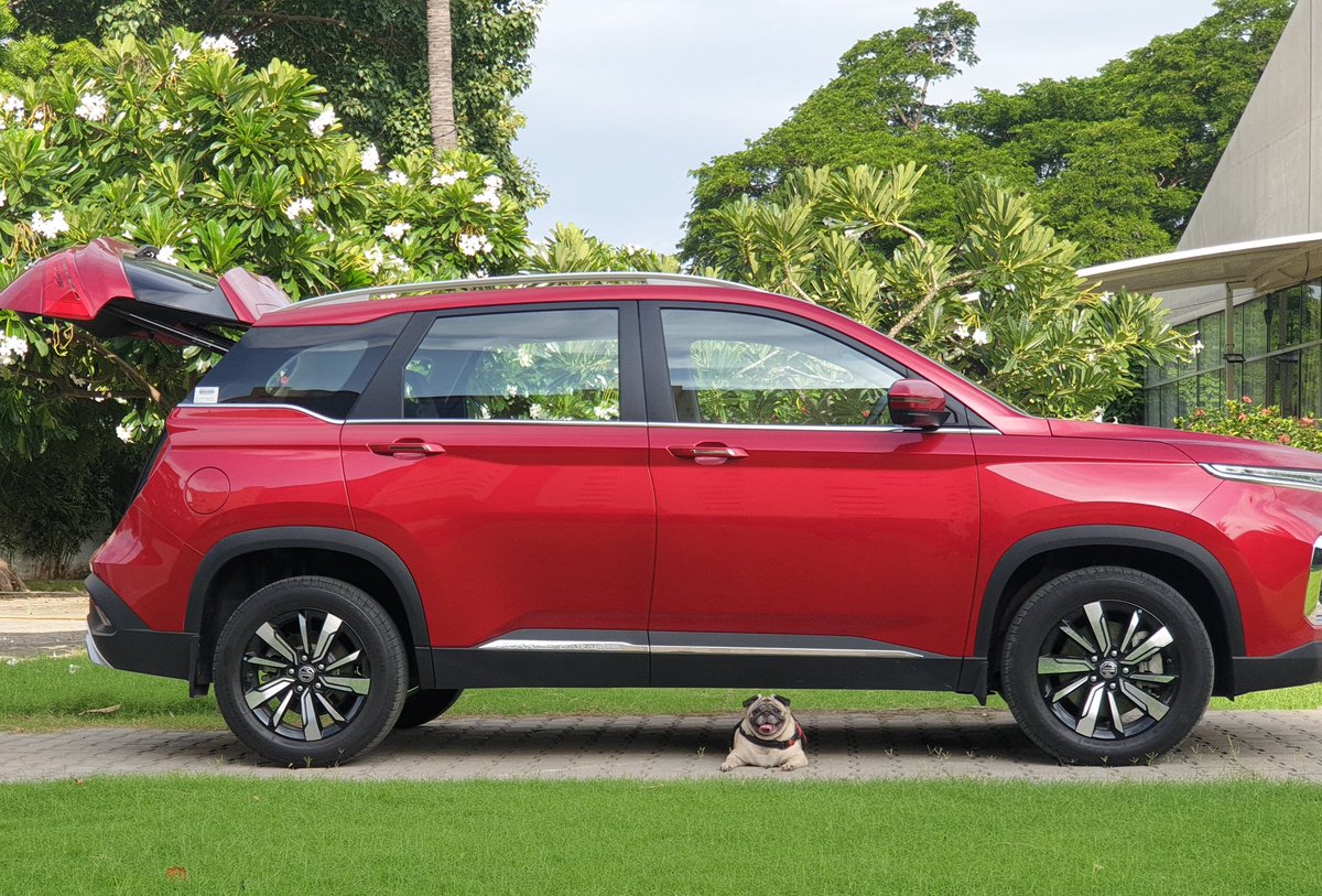 It's not just a human thing....<a href="/mghectorclub/">MG Hector Club India</a>
<a href="/MGMotorIn/">Morris Garages India</a> <a href="/rajeev_chaba/">Rajeev Chaba</a> 😀

#mghector 
#dogsoftwitter
#puglife