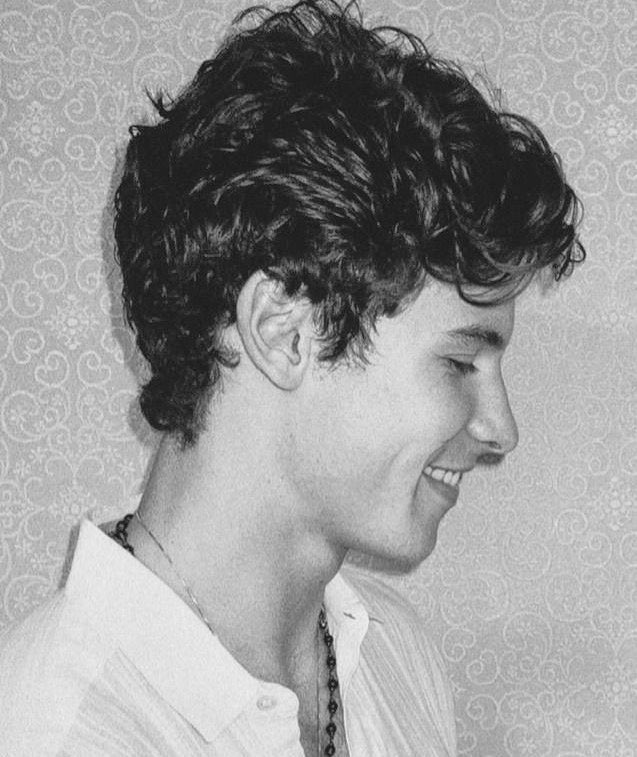 hiqherswft's tweet photo. shawn mendes but he gets older as you scroll down; a very emotional thread https://t.co/28xt3wdDRw