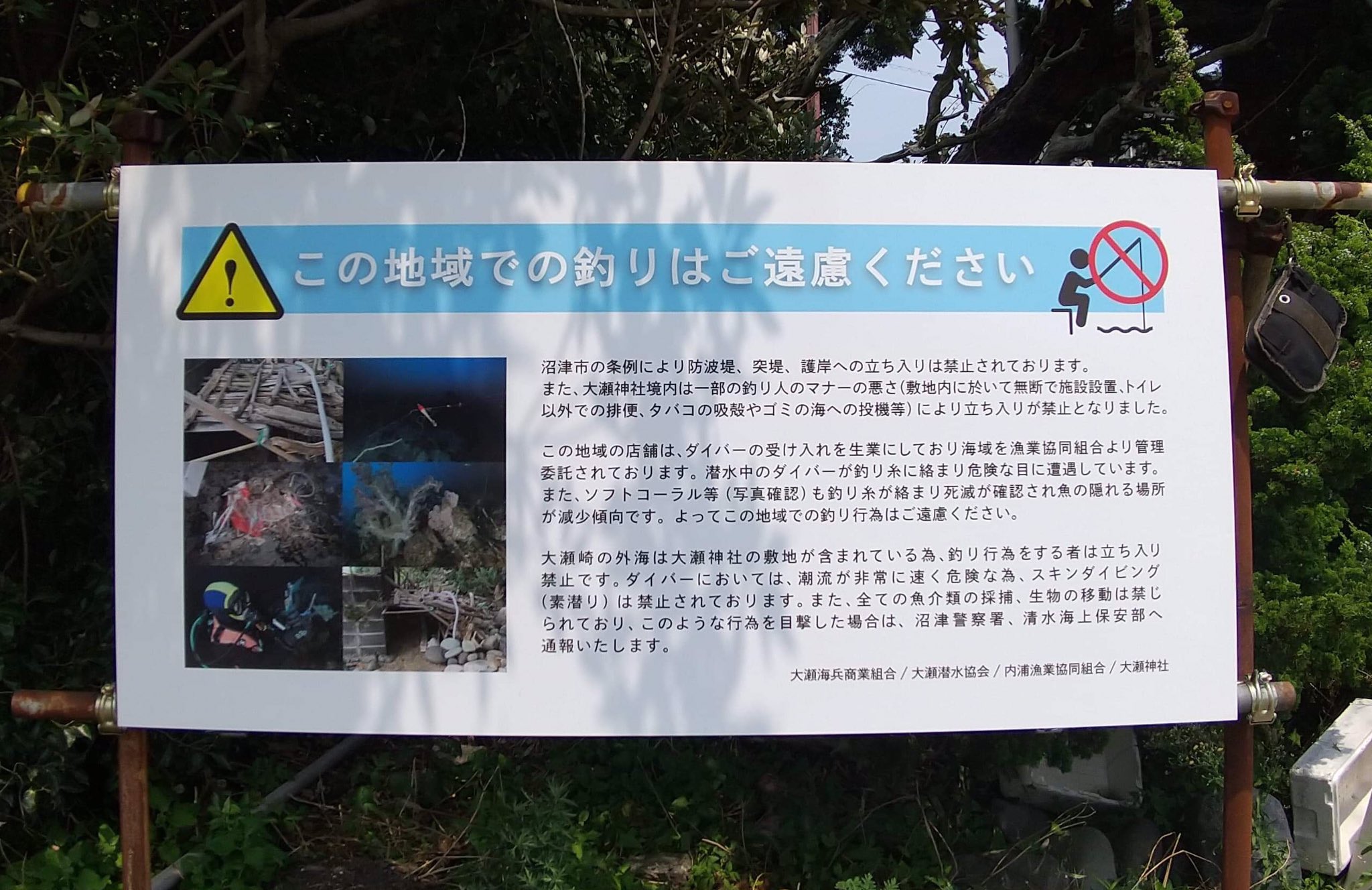 堀田光哉 ホッティー On Twitter 沼津の大瀬崎です Https T Co Xlhkjpcpuw Twitter