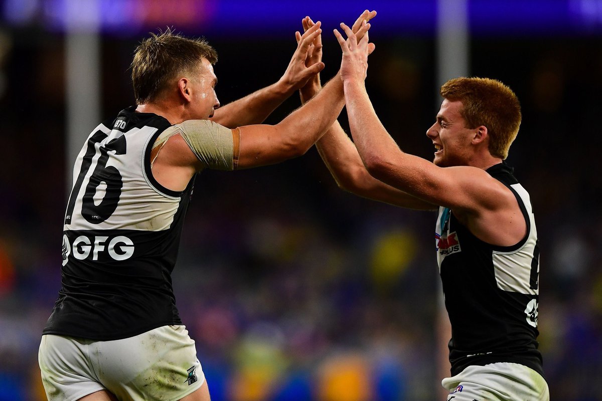 Willem Drew tweet media