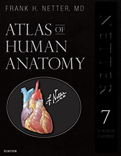 Netter's Atlas of Human Anatomy 7/