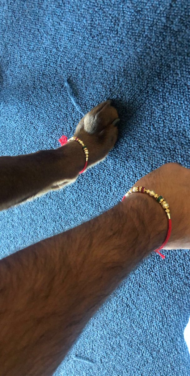 bains_bhavi's tweet photo. You were the healthiest and happiest dog you could ask for. No matter what situation it was or how hard things got, you tried your best to keep everyone happy. Cancer took you away early but I know you resting easy now bud, 4ever my dawg🖤 https://t.co/zXLP0HPxwf