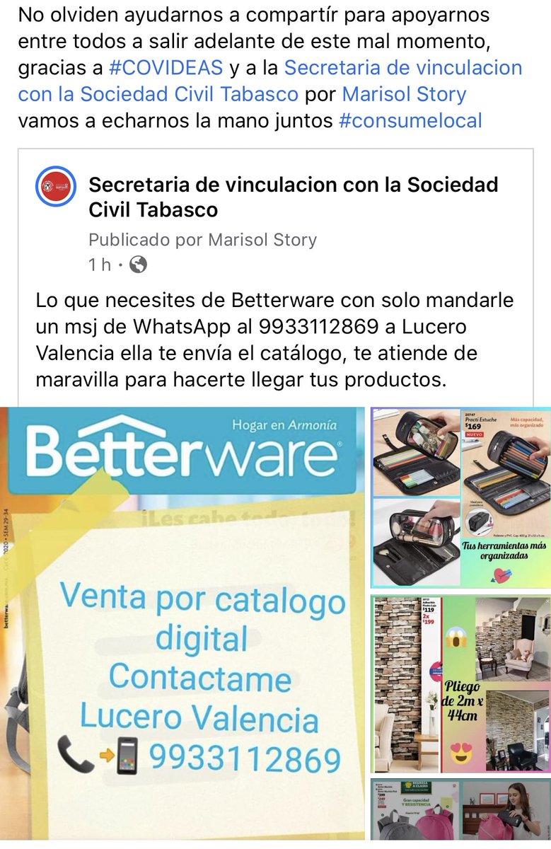 marisol_story's tweet photo. Los emprendedores de #COVIDeas del día de hoy #ConsumeLocal #Tabasco https://t.co/POYELXmDCo
