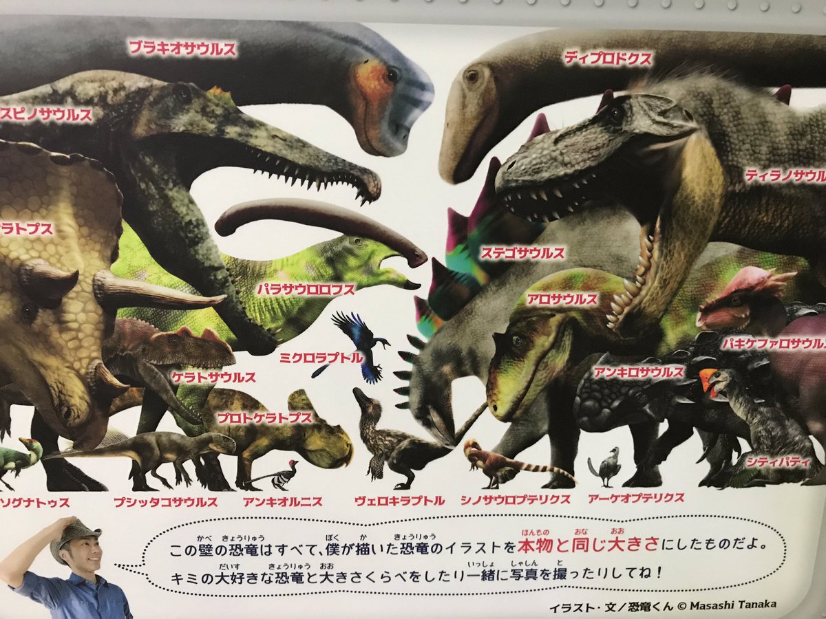 宮城肉食恐竜展 Op Twitter このパネルは実物大なので 写真撮ると大きさを実感できるよ 恐竜くん 宮城肉食恐竜展