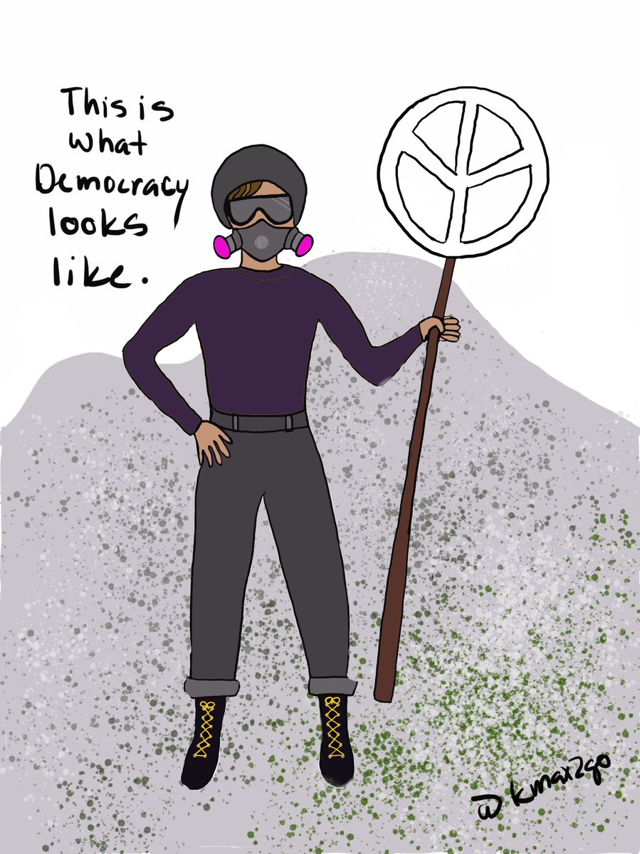 kmax2go's tweet image. When leadership fails, people rise. #protest2020 #resist