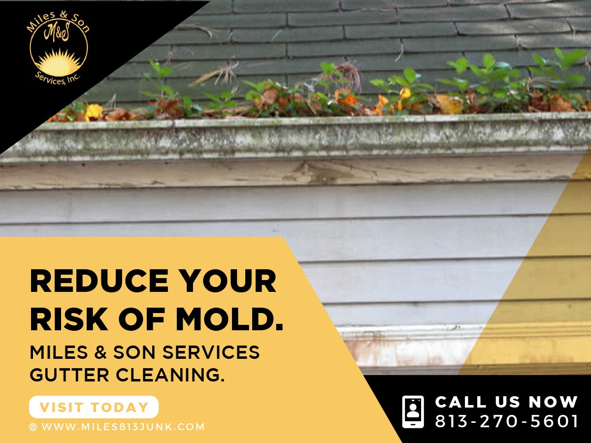 Miles and Son Services (@miles_services) on Twitter photo 