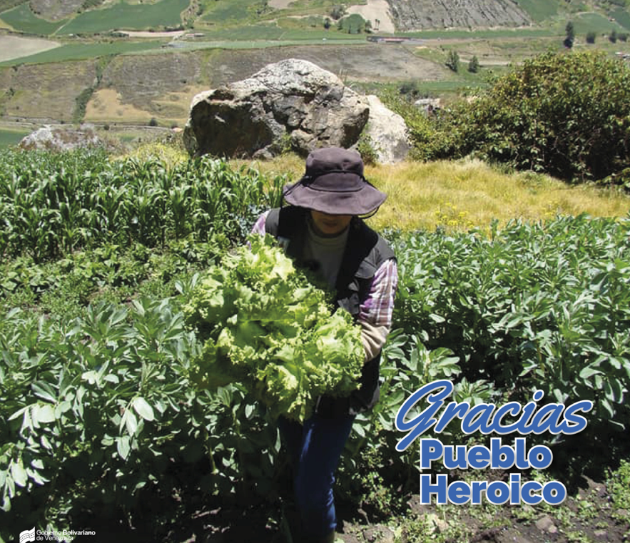 Gabriela Jiménez tweet media