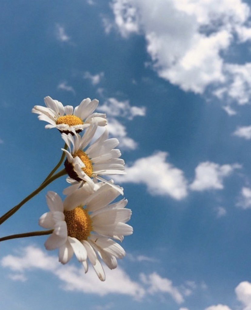 Günaydın #Çukurova 🤍

Sağlıklı ve mutlu bir hafta sonu geçirmeniz dileğiyle 🤗 

#cumartesi