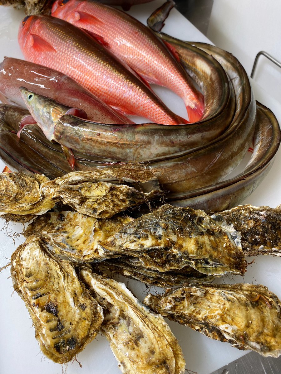 四季旬菜むら田 十三東 A Twitter 8月8日 土 本日のお魚さん入荷速報です ハチビキ 剣先イカ ハモ 夏輝岩牡蠣 仙鳳趾セル牡蠣 稚鮎 鮪希少部位盛合わせもあります 四季旬菜むら田 十三東 A Twitter 8月8日 土 本日のお魚さん入荷速報です ハチビキ 剣先イカ ハモ 夏輝岩牡蠣 仙鳳趾セル牡蠣 稚鮎 鮪希少部位盛合わせもあります