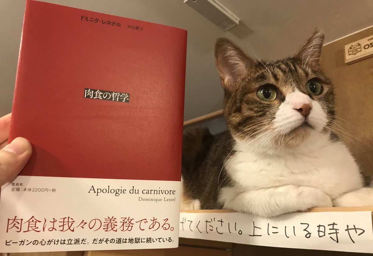 キャッツミャウブックス در توییتر 肉食の哲学 を提示されても 基本カリカリと稀にちゅ る的なおやつしか食べさせてもらえないのでピンと来ない店員たち 毎日が猫の日の当店は この連休とお盆期間中も14 00 19 30の営業です 定休日除く キャッツミャウブックス در توییتر 肉食の哲学 を提示されても 基本カリカリと稀にちゅ る的なおやつしか食べさせてもらえないのでピンと来ない店員たち 毎日が猫の日の当店は この連休とお盆期間中も14 00 19 30の営業です 定休日除く