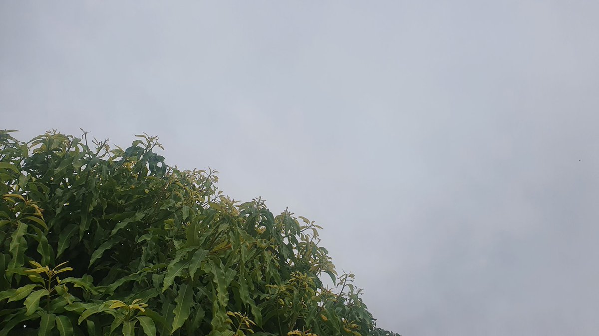 اجواء غائمه هنا في #ضنك
#منخفض_الشمال