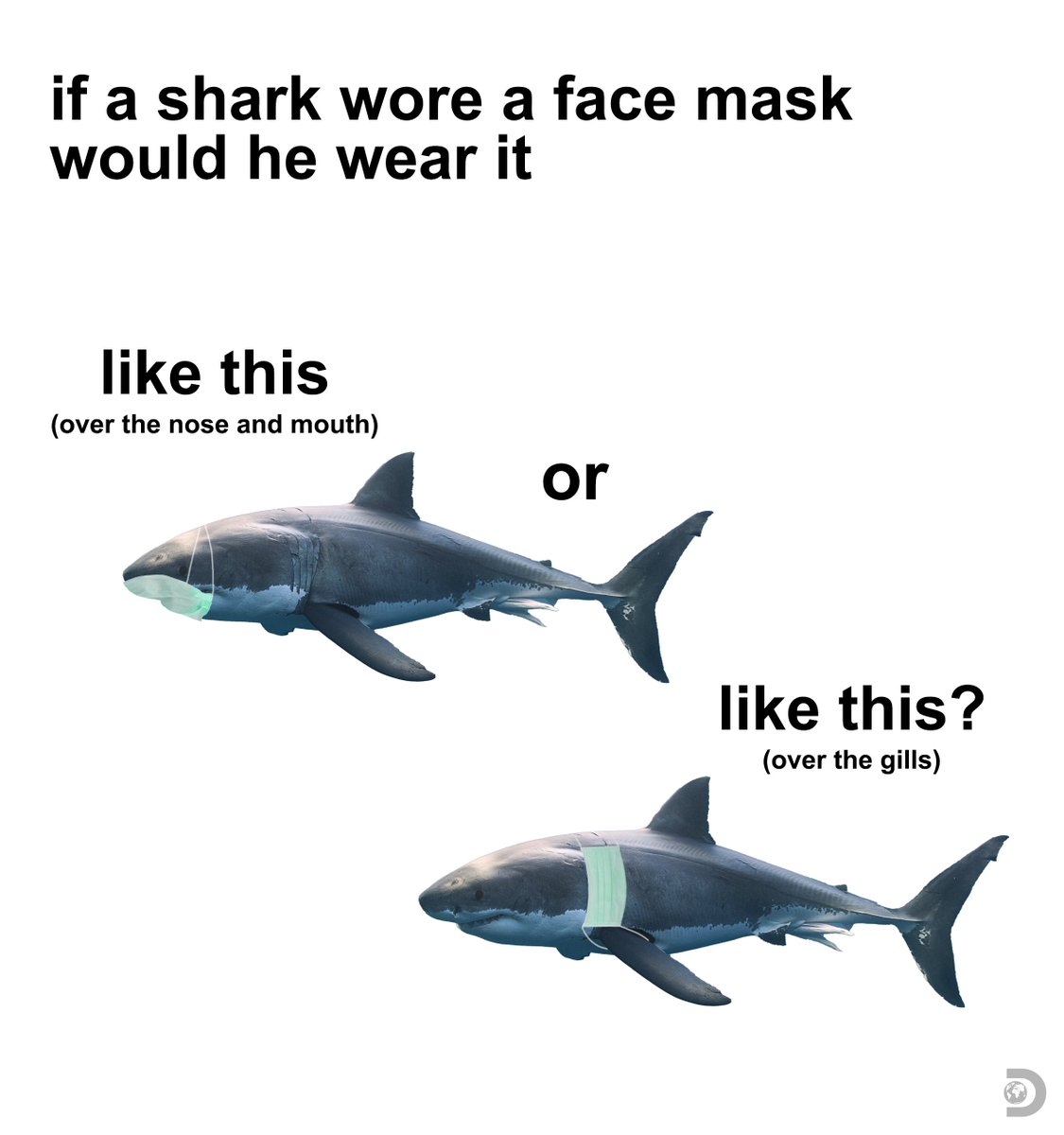 Maybe both to be safe. #SharkWeek