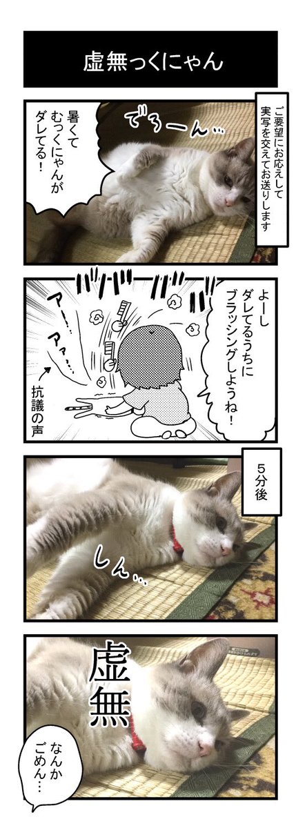 猫と猫飼い全てに幸あれ!✨??

#世界猫の日
#エッセイ漫画 