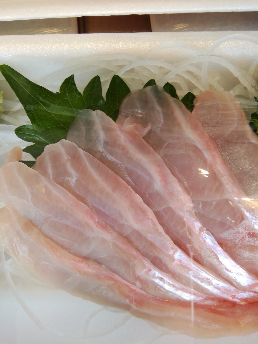 魚久 日野市の魚屋 お刺身はこだわりの近海生マグロはじめ 金目鯛 しまあじ 水ダコ 甘エビ いさき ほうぼう 真鯛 かんぱち あじ サーモン 真ダコ 酢ダコ 赤イカ スルメイカ 鰹 赤貝 青柳 ホタテ つぶ貝 サザエ ホッキ 自家製イワシ酢