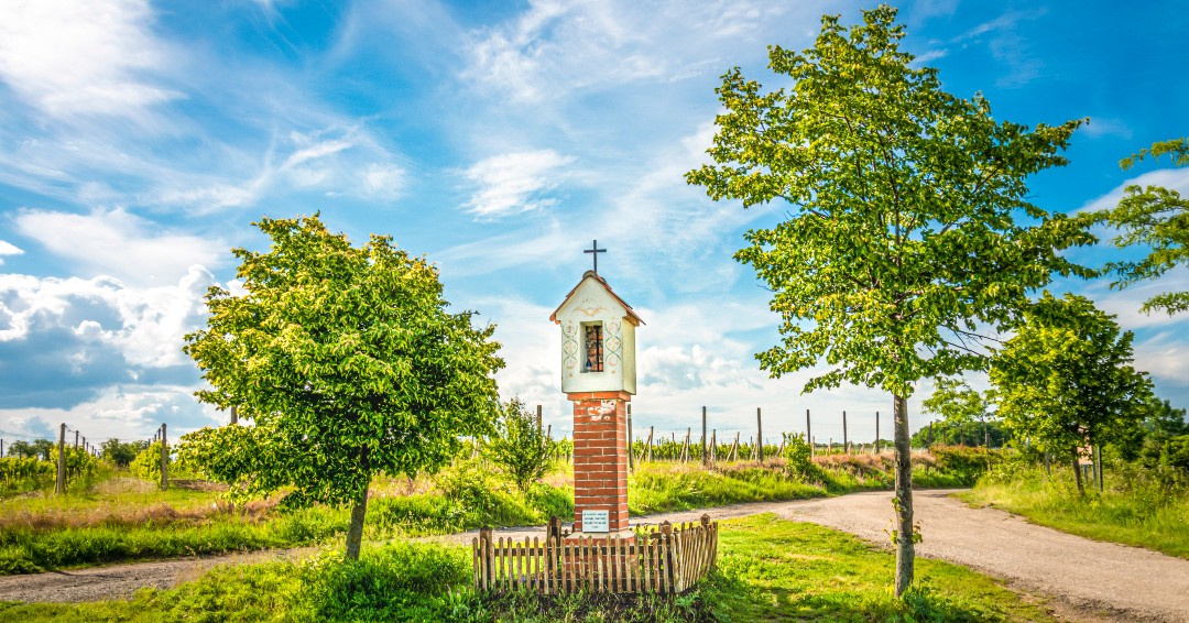 XRarachX's tweet photo. #rarach_photo, #nemcicky, #shrine, #religion, #architecture, #chapel, #building, #sky, #landscape, #old, #blue, #religious, #rural, #white, #tree, #trees, #nature, #grass, #country, #village, #summer, #stone, #green, #clouds, #countryside, #house https://t.co/f2yeHePbJx