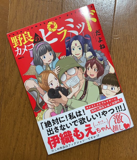 だよね 野良カメコよ永遠なれ さん と Dayonesoudayone のやりとり 1 Whotwi グラフィカルtwitter分析 だよね 野良カメコよ永遠なれ さん と Dayonesoudayone のやりとり 1 Whotwi グラフィカルtwitter分析