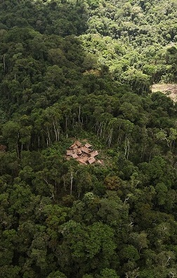 8) L'Informe especial de l’Intergovernmental Panel on Climate Change (IPCC) sobre el canvi climàtic i el sòl (2019) va reconèixer que els pobles indígenes i les comunitats locals tenen un paper crucial en la preservació dels ecosistemes i la prevenció de la desforestació