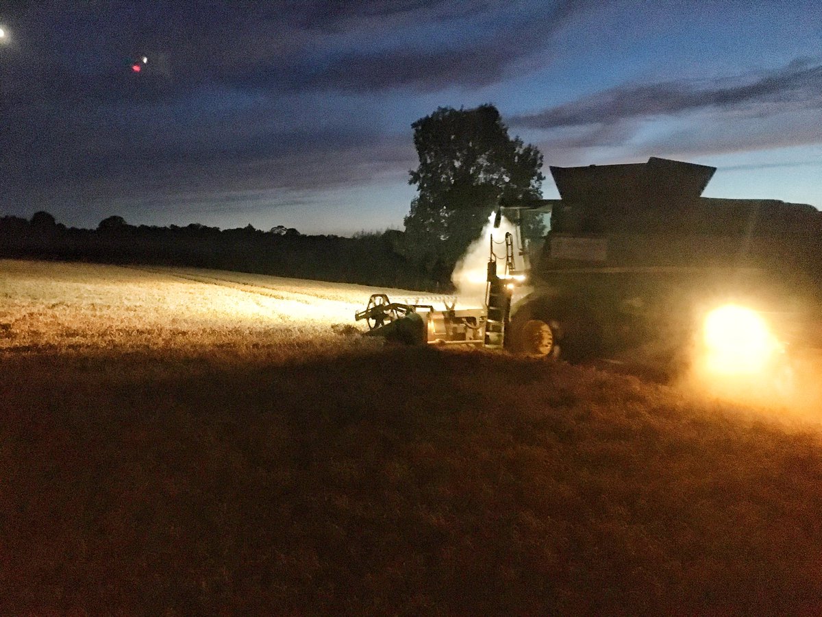 Wheat #harvest20 started... following #hottestdayoftheyear /hottest day for 17years. Dryer is going to stay parked up #win