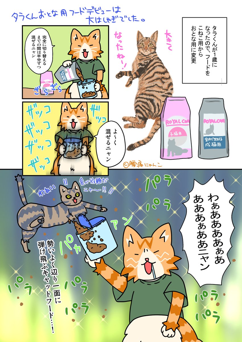 くりーむん 新作lineスタンプ出来たニャ タラくんのおとな用フードデビューした時のハナシ 腰痛にゃんこ ねこマンガ タラくん ねこイラスト キャットフード ロイヤルカナン
