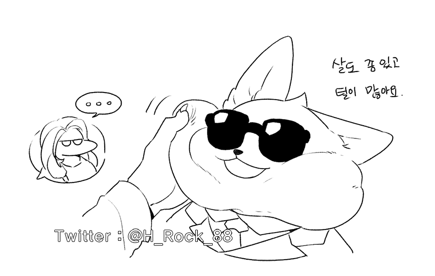 코기 경호원의 목살이냐 목털이냐의 점을 궁금해하신 분들이 많은것같아서 ㅋㅋ
살도 있고 털이 좀 더 많습니다( 