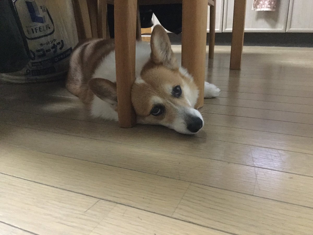 アベトナ Twitter Search