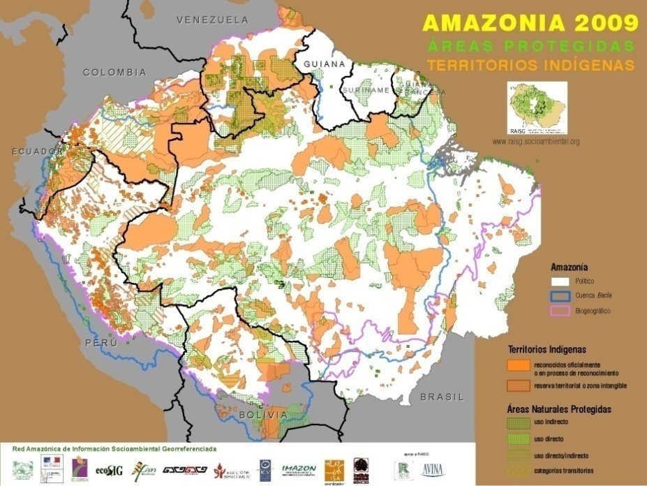 12) El 2019, 65% dels assassinats van tenir lloc a Amèrica Llatina, especialment a la regió amazònica. La mineria va ser el sector més mortífer, amb 50 líders assassinats. Àsia ha estat la pitjor regió d’atacs vinculats a empreses agroalimentàries, seguides per les forestals.