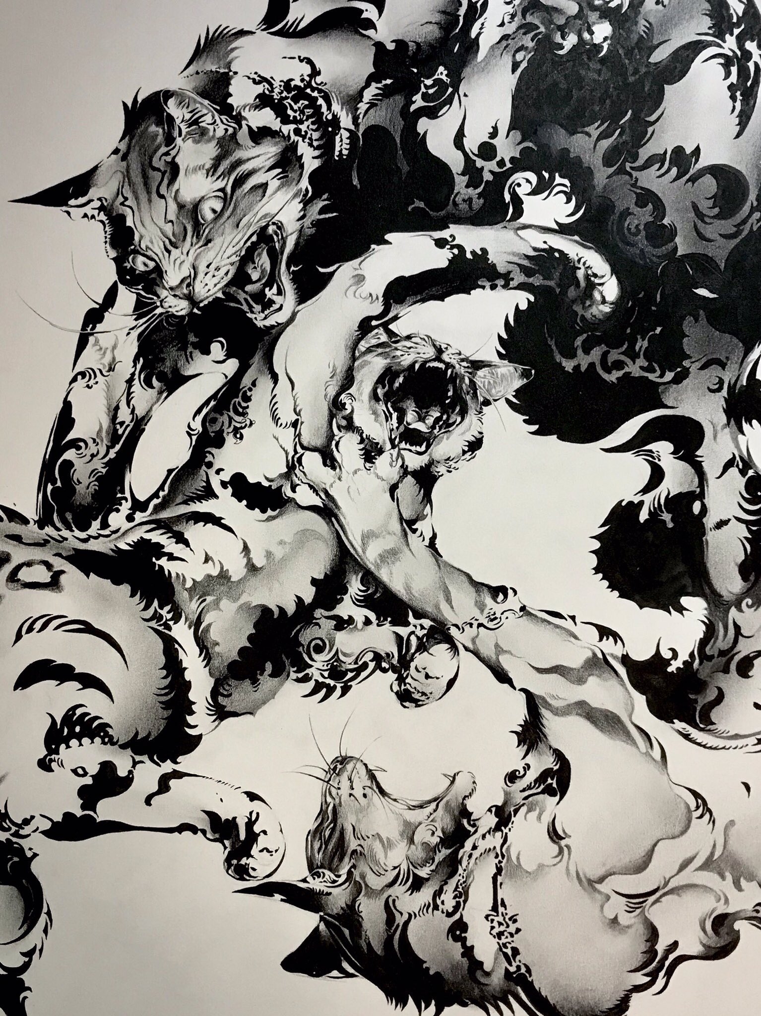 猫将軍 Nekoshowgun on X: 猫将軍 Nekoshowgun on X: