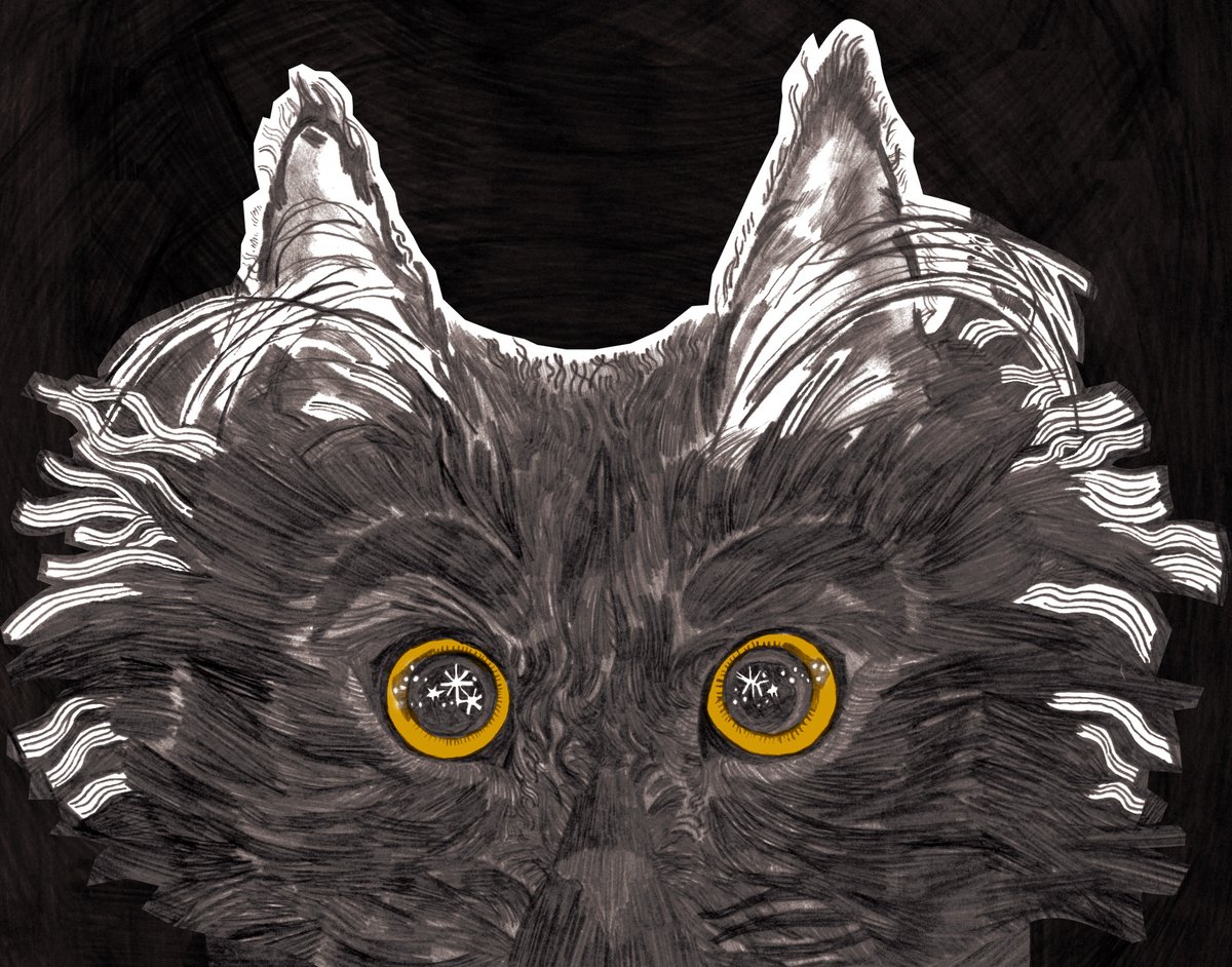 hannah_pos's tweet photo. Happy International Cat Day! Despite many superstitions portraying a black cat as bad luck...they have many positive associations in folklore from all around the world; sailors would often have one onboard to ensure safe passage at sea.  So let optimism rein: good omens to you! https://t.co/rYdV2ui8tA