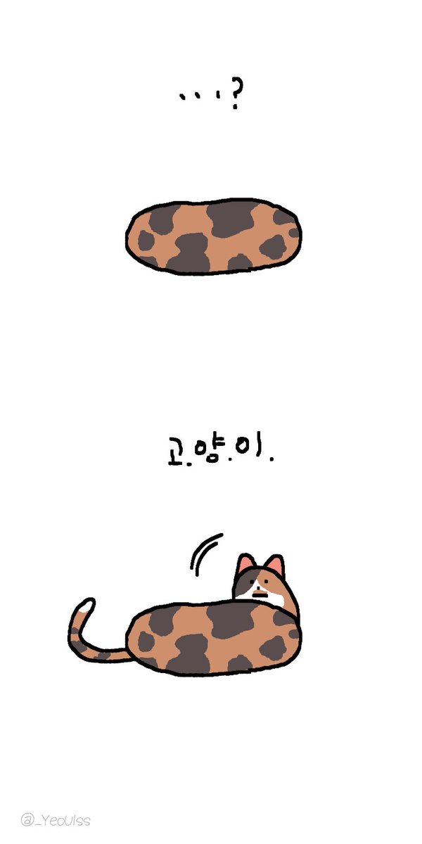 세계 고양이의 날에도 역시나 기묘한 고양이