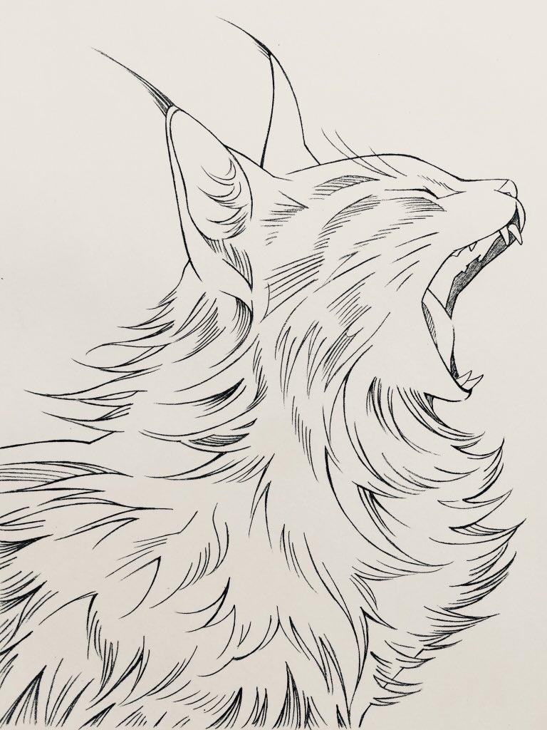 #世界猫の日 