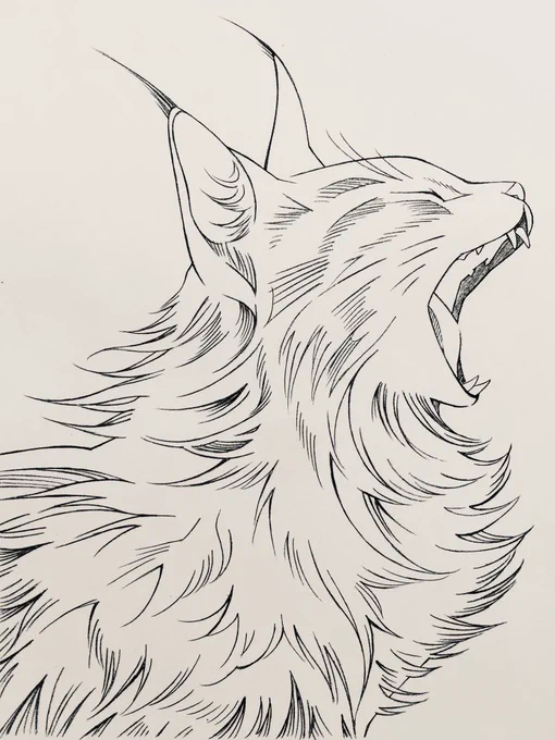 #世界猫の日 