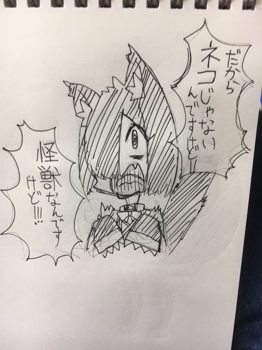 猫の日らしいですね 