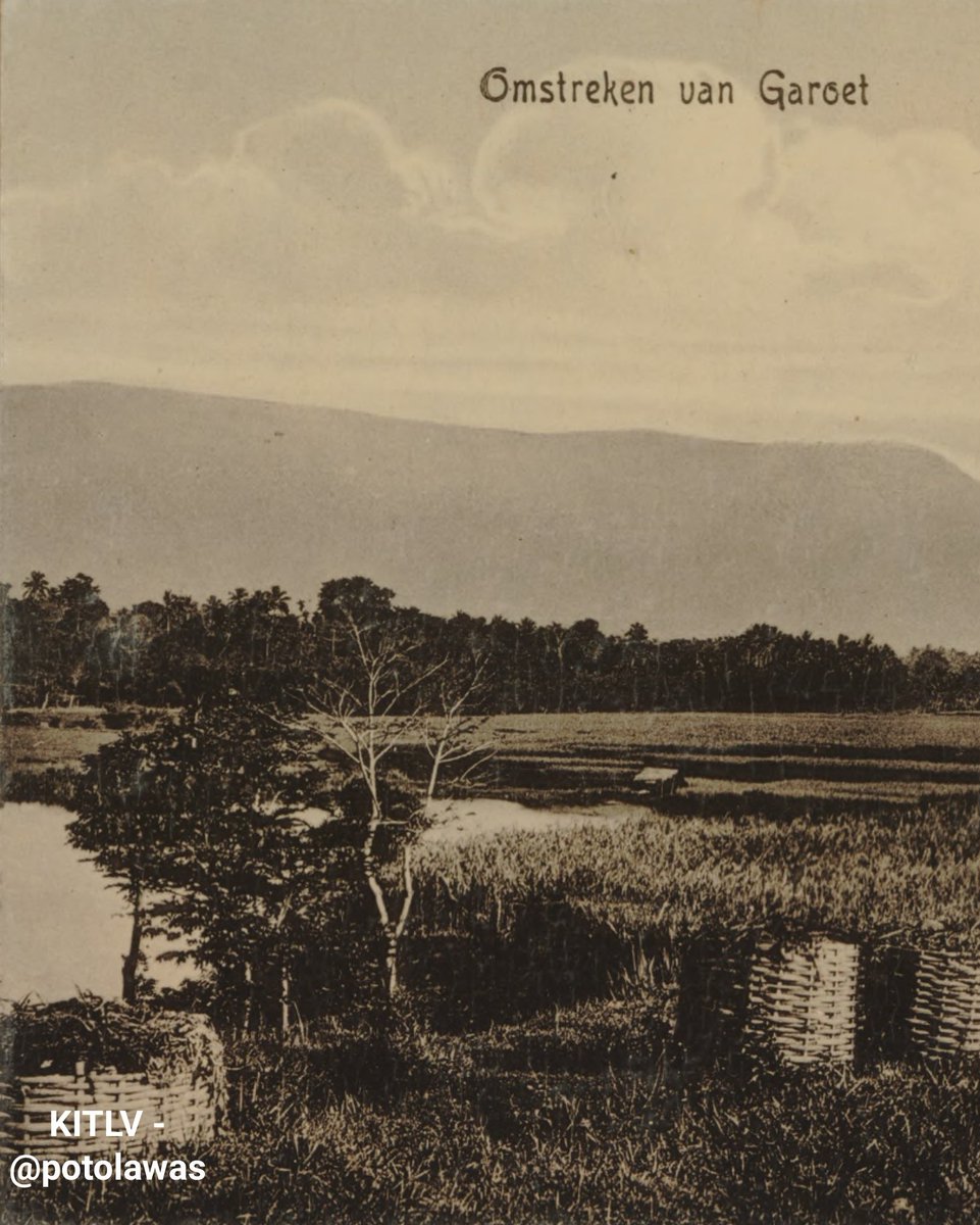 potolawas's tweet photo. Omstreken van Garoet bij Bandung, ca 1925.
Area Garoet dekat Bandung, sekitar 1925.
Apakah gunung dibelakang itu Gunung Tangkubanprahu?
•
📸: Universiteit Leiden
•
#potolawas #potolawasgarut #garut #garutendah
#garutexplore #garuthits #garutinfo https://t.co/MPqxm6tlbJ