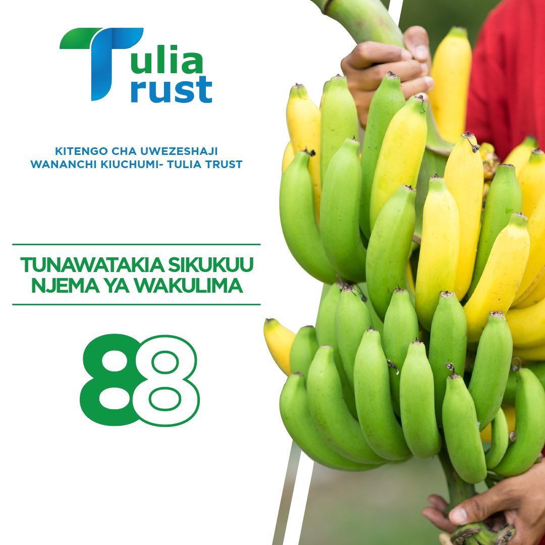 TuliaTrust_org's tweet photo. Uongozi na wafanyakazi wote wa Tulia Trust wanawatakia wakulima na watanzania wote kheri ya siku kuu ya Nanenane. #tuliatrustnajamii https://t.co/90f4ETnjqq