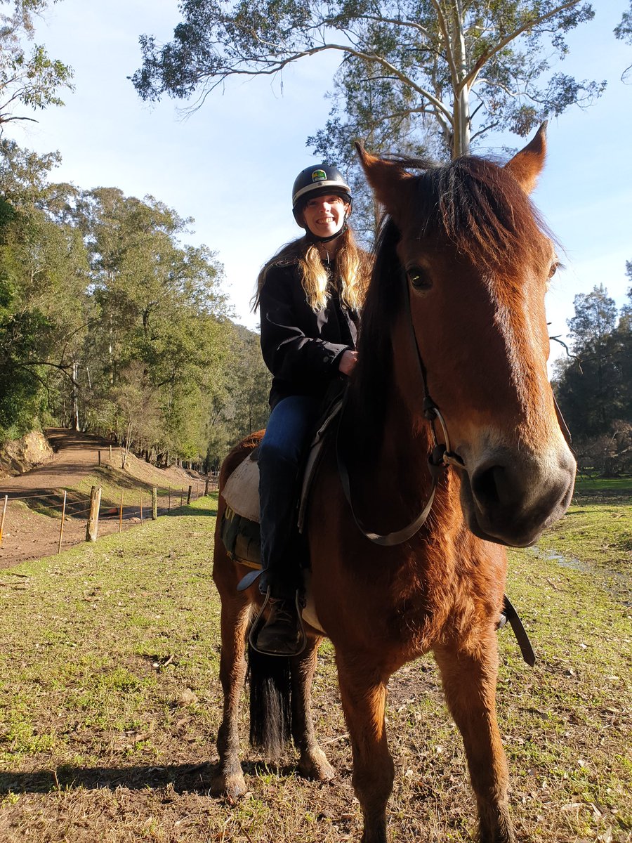 puntashtic's tweet photo. The neighstalgia is real. @GlenworthValley #horseriding https://t.co/81uJpk4Pav