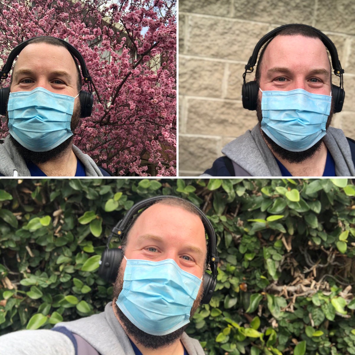 meholt's tweet photo. Who needs to sit on a plane for hours and hours? Today I saw the Tokyo cherry blossom festival, the Great Wall of China and the amazon rainforest - all within 2km of home.
.
In unrelated news, I may have taken up day drinking as an iso hobby.
.
#travel #stayhome #FakeCation https://t.co/V6Gb0JK7dj