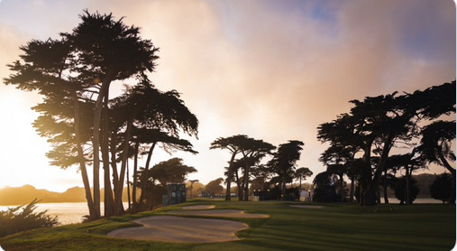 That's a wrap on Round 2 from TPC Harding Park.