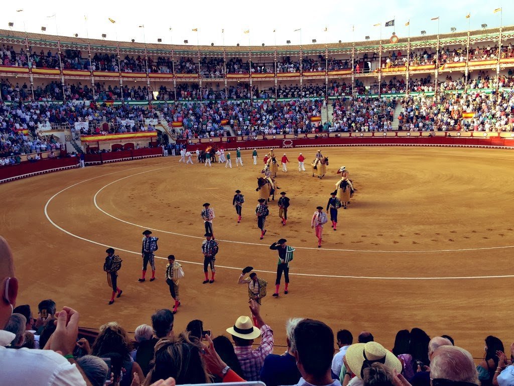 Alex_Calabuig's tweet photo. Deberían de estar celebrándose cientos de carreras pequeñas, con todas las medidas de seguridad y salidas escalonadas,  pero por el momento lo que vemos son estas imágenes. Las autoridades han perdido el norte. Quizá el humo de los puros de las corridas de toros les impide pensar https://t.co/NMrJhDAuGA