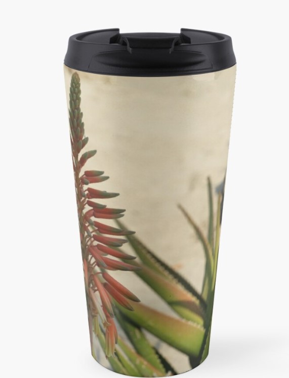 Manitarka's tweet photo. #AloeVera #plants #aloe #photography #botanical #bllom #nature #palnst #forher #posters #prints #mugs #cases #bedding #Redbubble #Manitarka https://t.co/gmtXgFEWF8 https://t.co/cYF4AGwuio