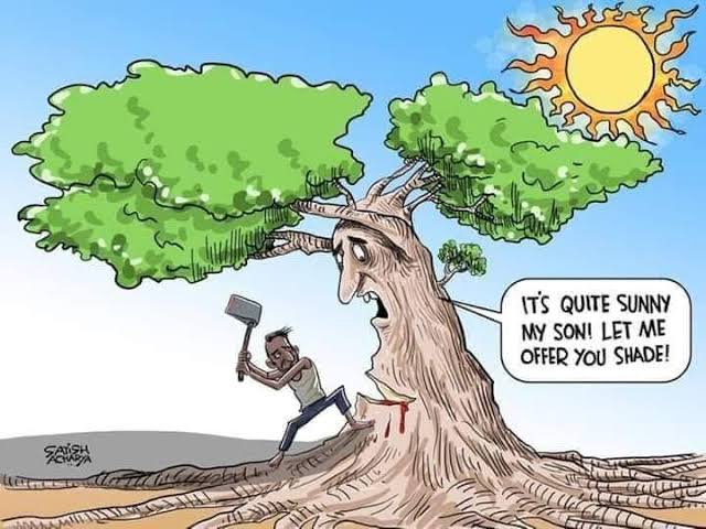 If you cut a tree, you kill a life. If you save a tree, you save a life. If you plant a tree, you plant a life🌳...I hope somebody cares.😢💚Let's grow and make trees🌳not stumps!. 📸: Editorial cartoonist @satishacharya inspiring conservation through art. #Nature #KOT #GrowTrees