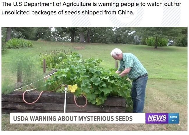 中国の種 Twitter Search