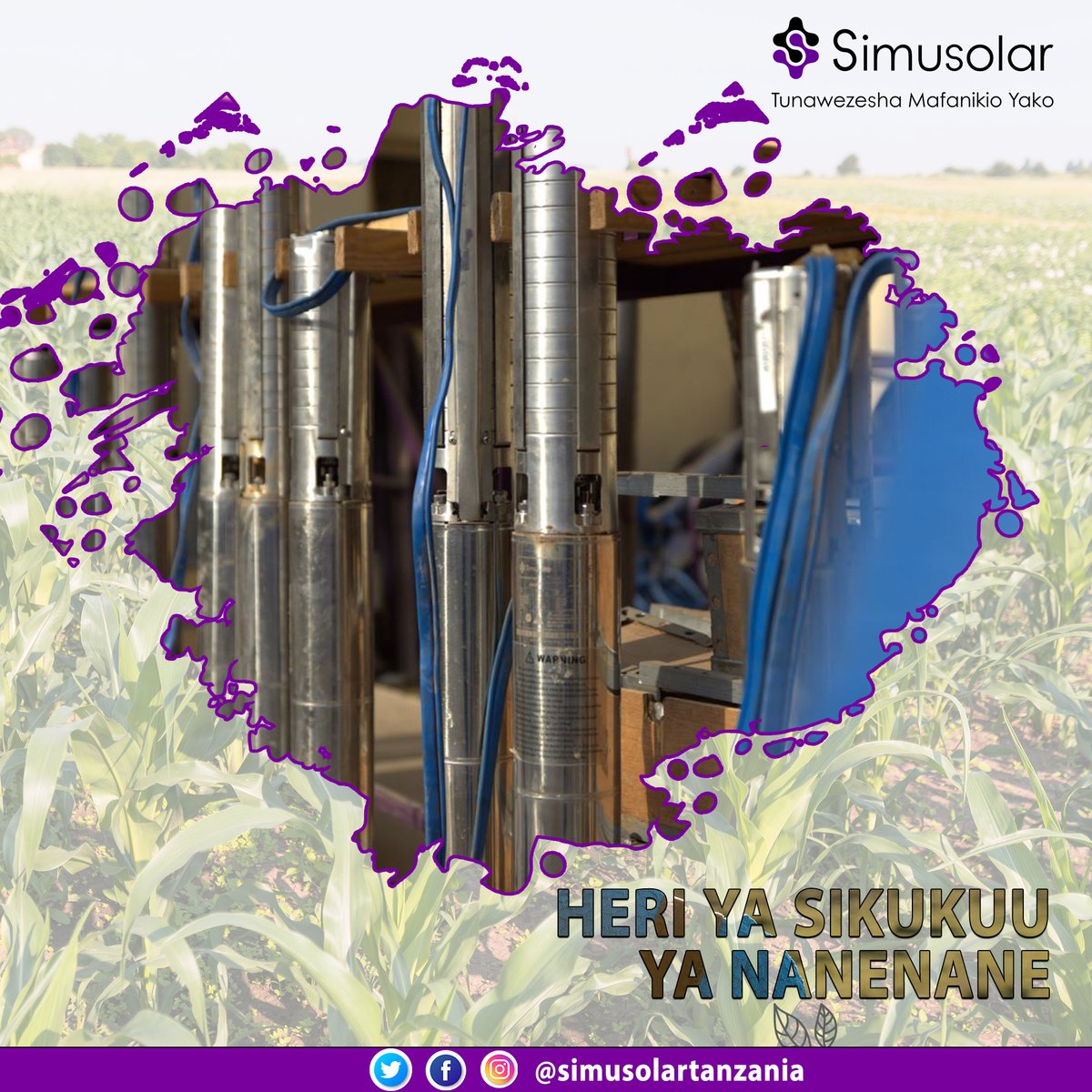 Simusolar tweet media